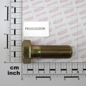 SCR. M24X2X70     U5738  8.8ZN