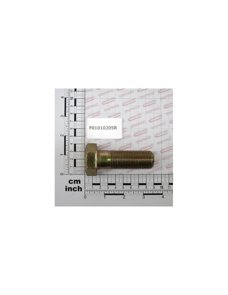 SCR. M24X2X70     U5738  8.8ZN