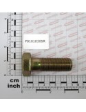 SCR. M24X2X70     U5738  8.8ZN