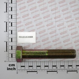SCR. M24X2X130    U5738  8.8ZN