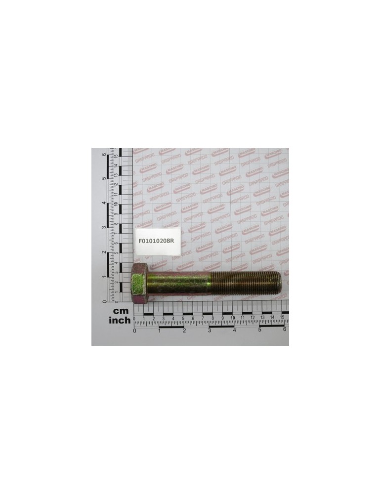 SCR. M24X2X130    U5738  8.8ZN