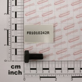 SCR. M10X1,25X22  U5740  8.8BR