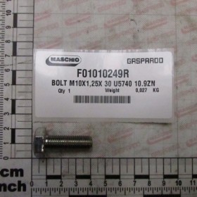 BOLT M10X1,25X 30 U5740 10.9ZN