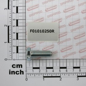 SCR. M10X1,25X30  U5740  8.8ZN