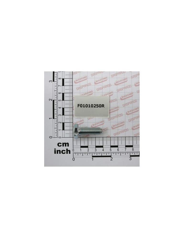 SCR. M10X1,25X30  U5740  8.8ZN