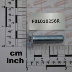 SCR. M10X1,25X40  U5740  8.8ZN