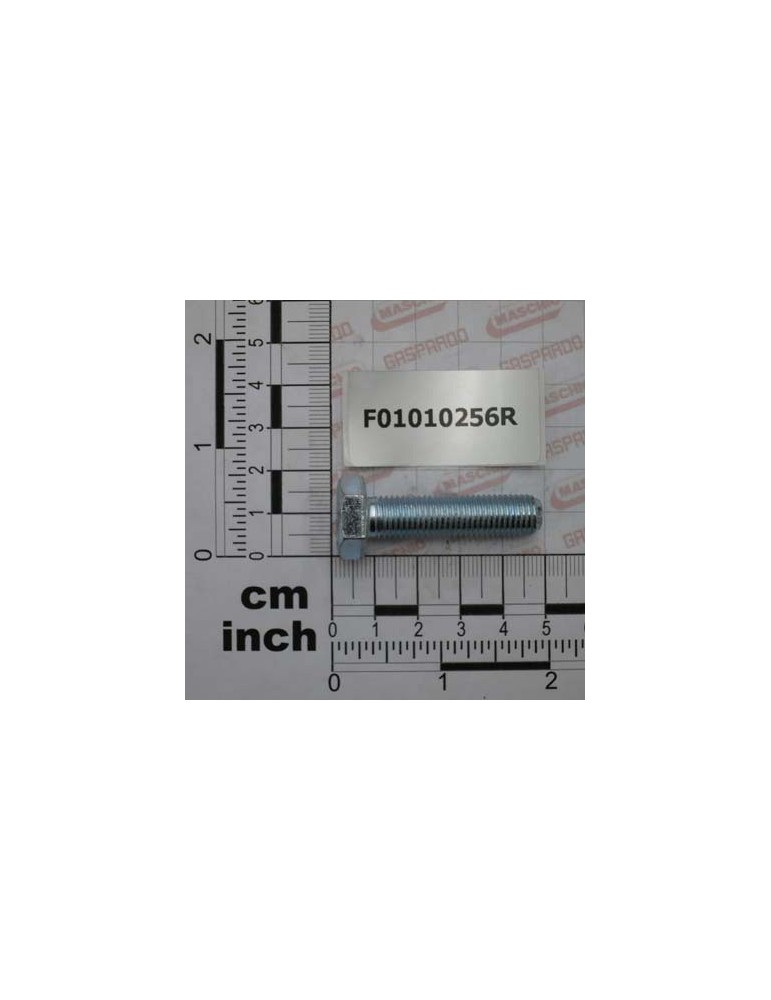 SCR. M10X1,25X40  U5740  8.8ZN