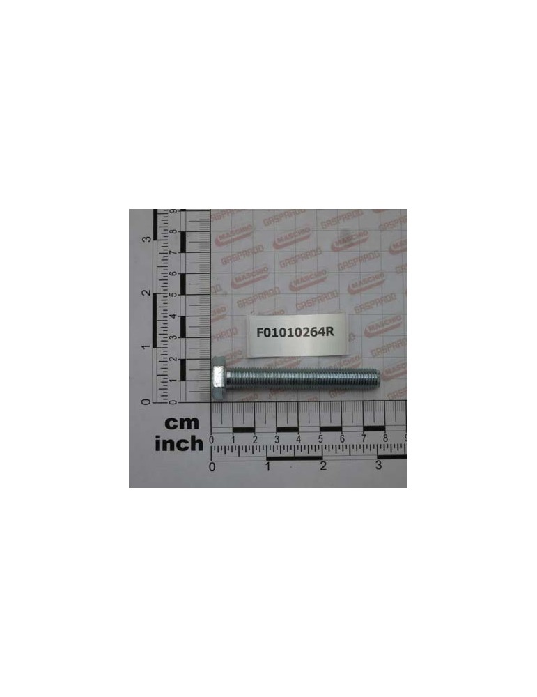 SCR. M10X1,25X70  U5740  8.8ZN
