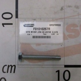 BOLT M10X1,25X 80 U5740  8.8ZN