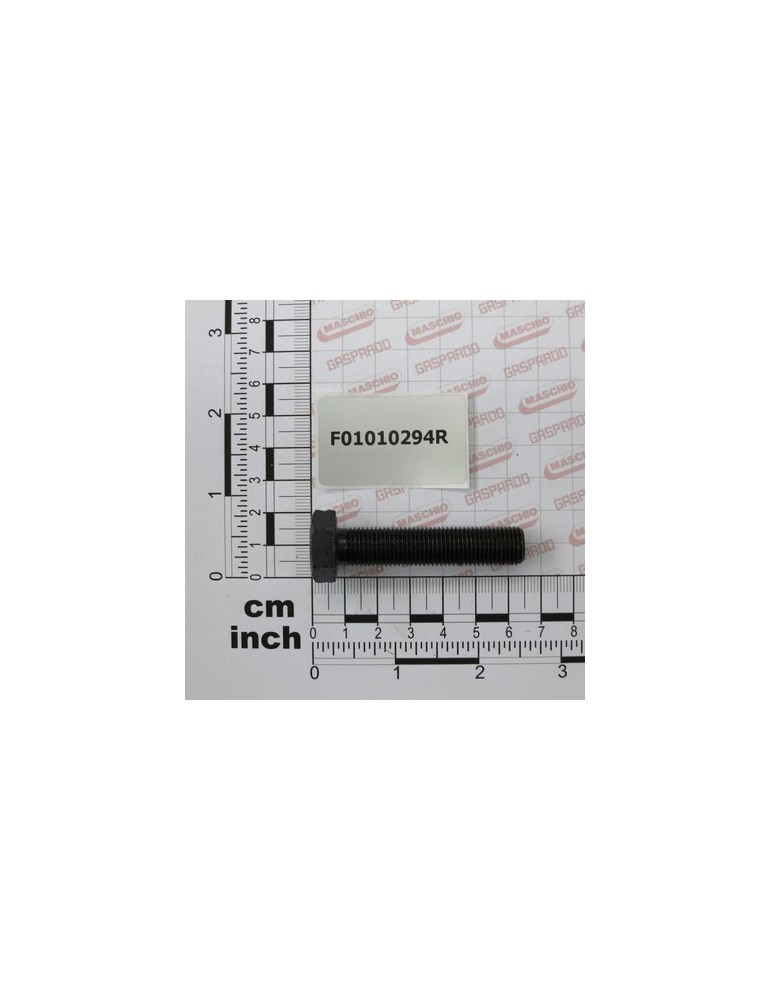 SCR. M12X1,25X55  U5740  8.8ZN
