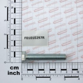 SCR. M12X1,25X70  U5740 10.9ZD