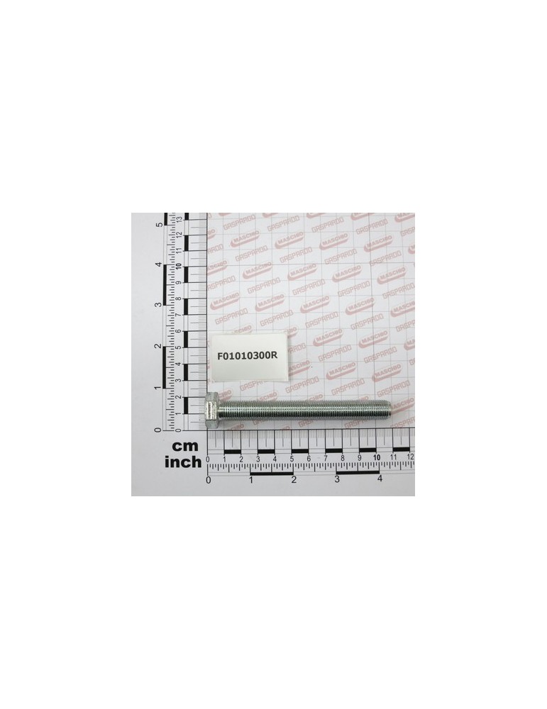 SCR. M12X1,25X100 U5740  8.8ZN