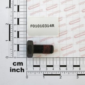 SCR. M14X1,5X30   U5740  8.8DL