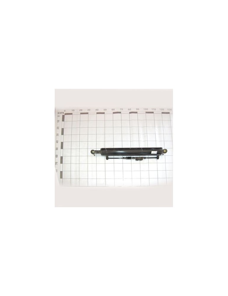 Maschio Gaspardo CILINDRU D90 L674 R18210580R