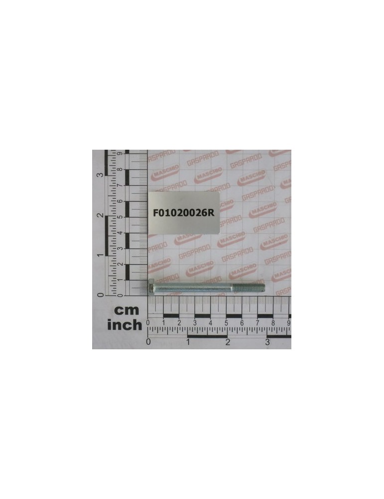 SCR. M5X065 U5737 8.8 ZN