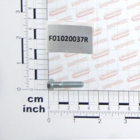 SCR. M6X1X30      U5737  8.8ZN
