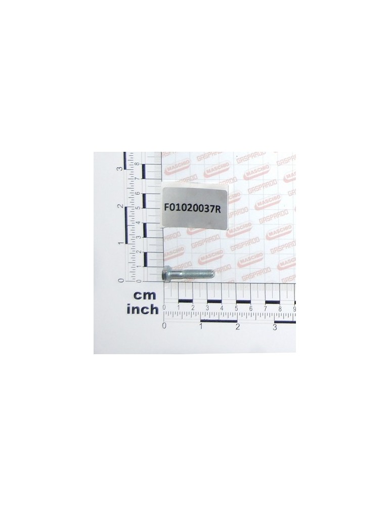 SCR. M6X1X30      U5737  8.8ZN