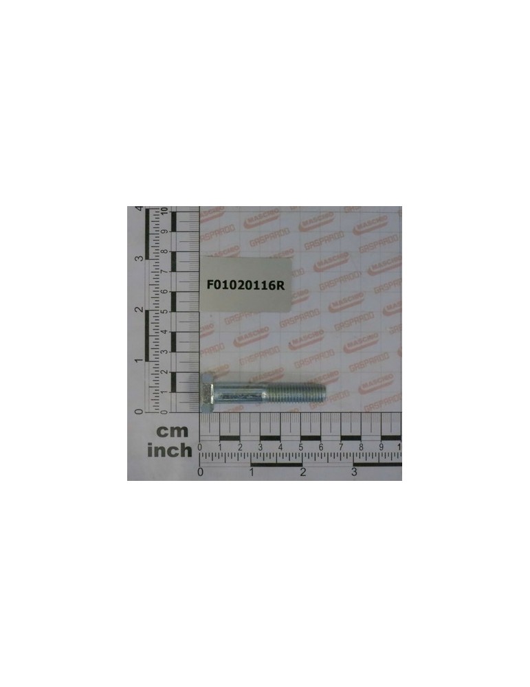 SCR. M10X1,5X55   U5737  8.8ZN