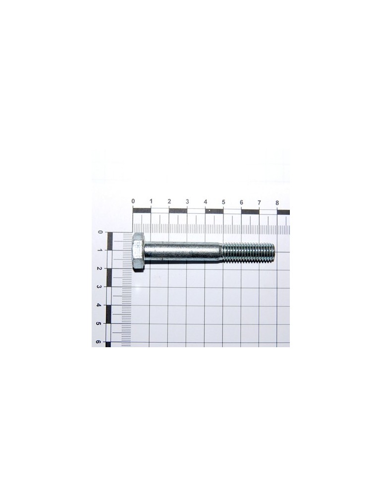 SCR. M10X1,5X70   U5737 10.9ZD