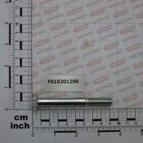 SCR. M10X1,5X85   U5737  8.8ZN