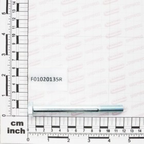 SCR. M10X1,5X110  U5737  8.8ZN