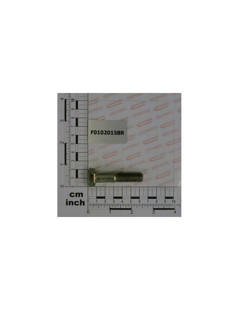 BOLT M12X1,75X55  U5737  8.8ZN