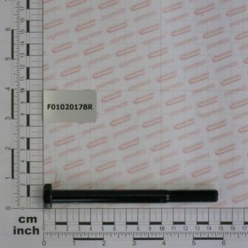 SCR. M12X1,75X140 U5737  8.8BR