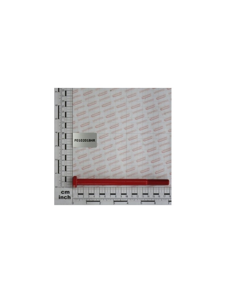 SCR. M12X1,75X170 U5737  8.8BR