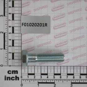 SCR. M14X2X55     U5737  8.8ZN