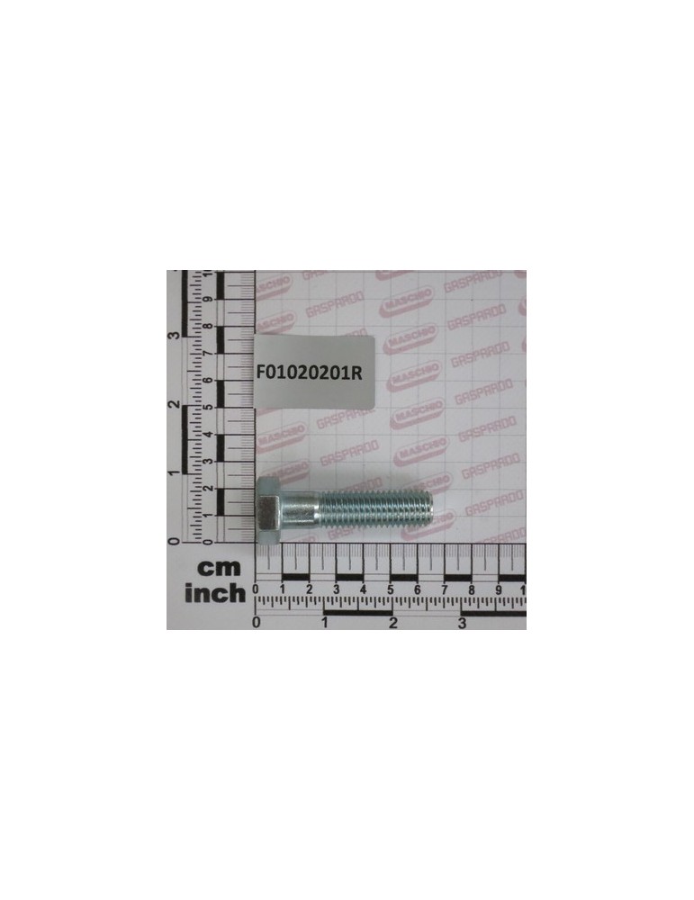 SCR. M14X2X55     U5737  8.8ZN