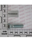 SCR. M14X2X55     U5737  8.8ZN