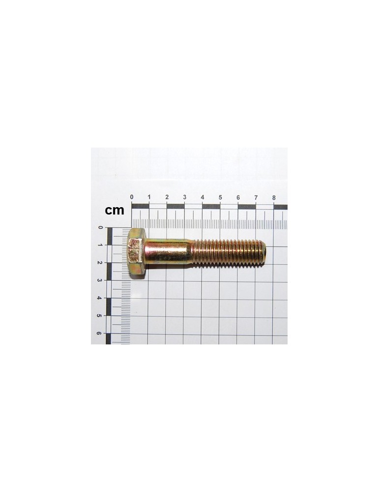 SCR. M14X2X65     U5737  8.8BR
