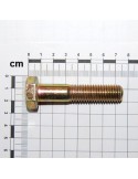 SCR. M14X2X65     U5737  8.8BR