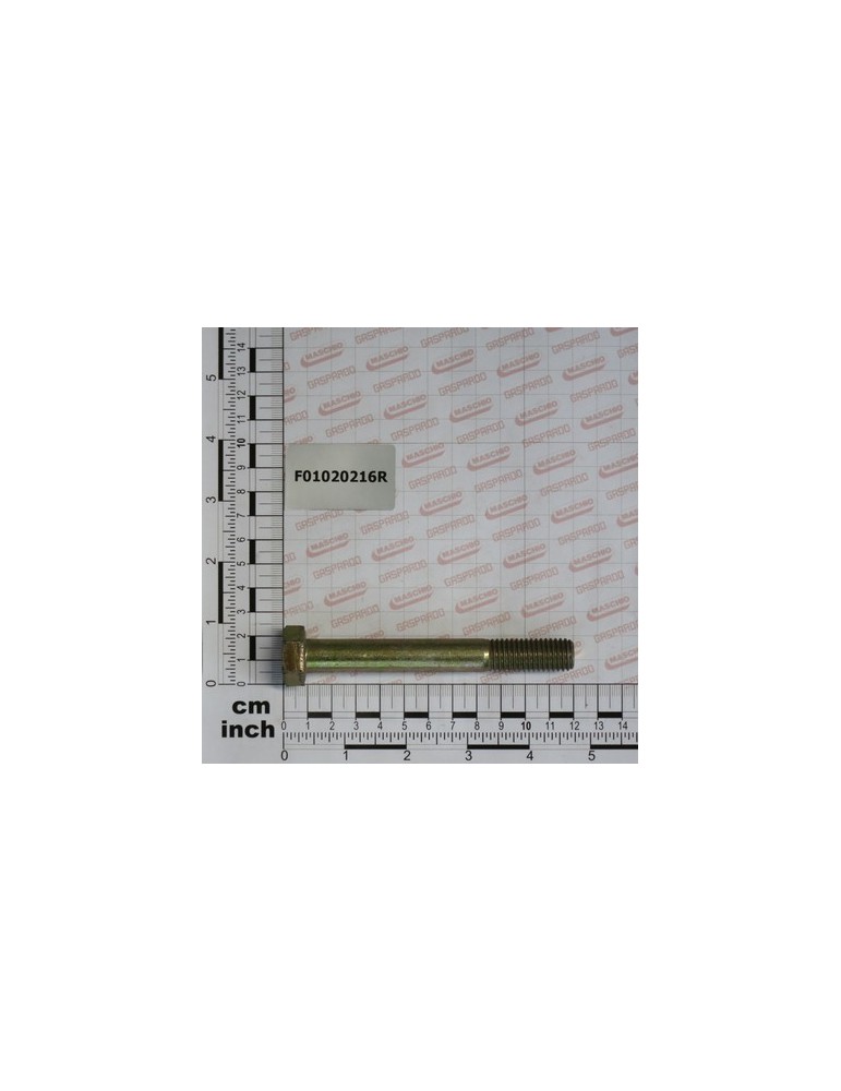 SCR. M14X2X110    U5737  8.8ZN