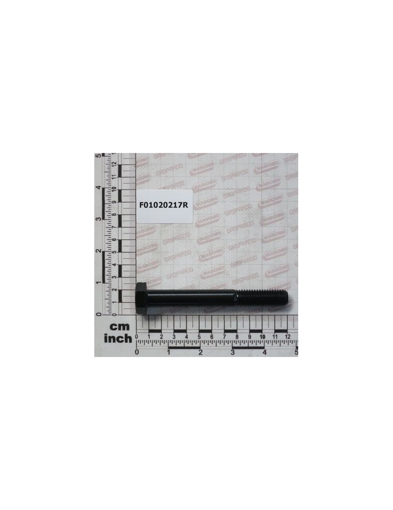 SCR. M14X2X110    U5737  8.8BR