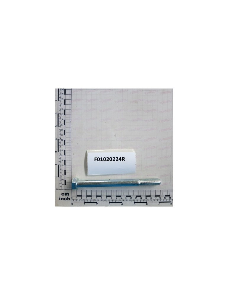 SCRE. M14X2X160 U5737  8.8 ZN