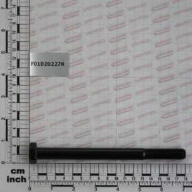 SCR. M14X2X170    U5737  8.8BR