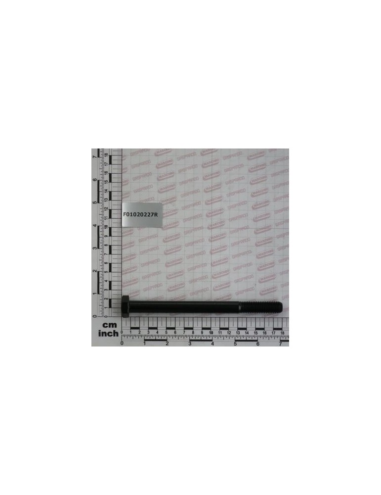 SCR. M14X2X170    U5737  8.8BR