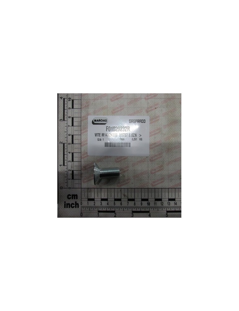 SCR. M14X2X200    U5737  8.8ZN