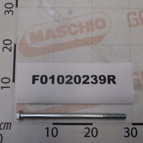 SCR. M14X2X260    U5737  8.8ZN