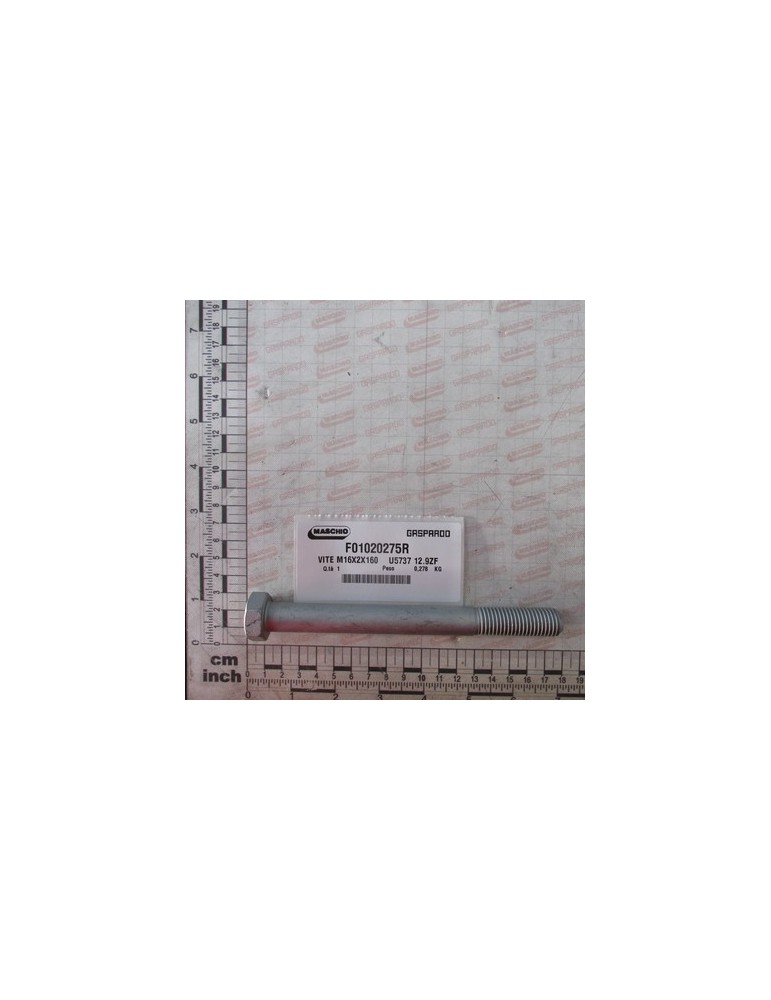 SCR. M16X2X160    U5737 12.9ZF