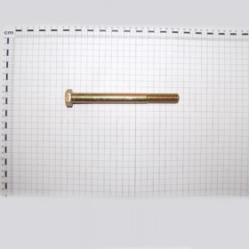 SCR. M16X2X170    U5737  8.8ZN