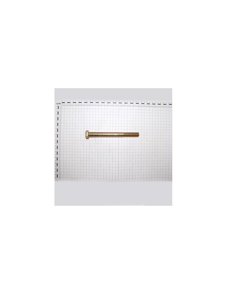 SCR. M16X2X170    U5737  8.8ZN