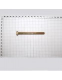 SCR. M16X2X170    U5737  8.8ZN