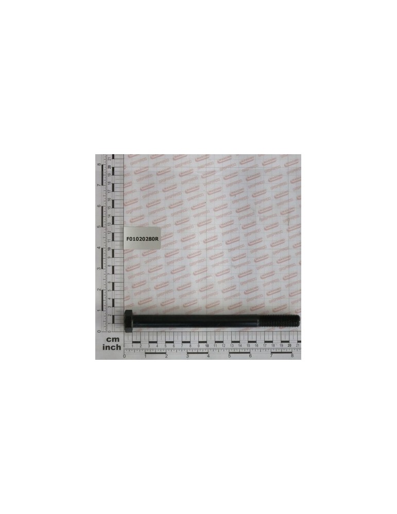 SCR. M16X2X200    U5737 10.9ZD