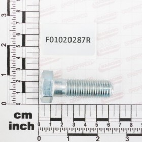 SCR. M16X2X50     U5737 10.9ZD