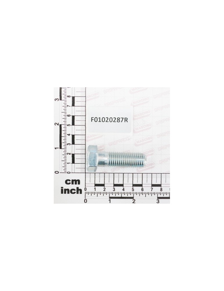 SCR. M16X2X50     U5737 10.9ZD