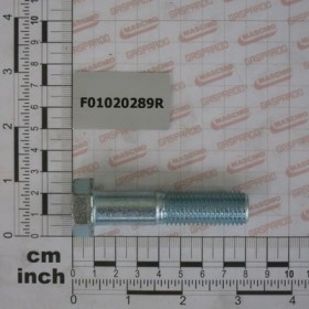 SCR. M16X2X70     U5737 10.9ZF
