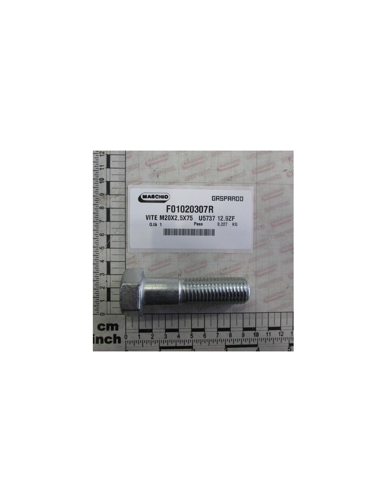 SCR. M20X2,5X75   U5737 12.9ZF