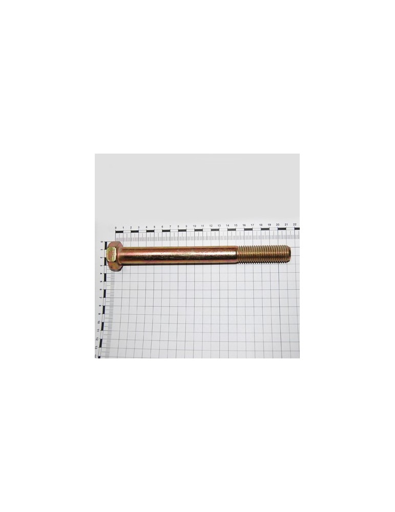 SCR. M20X2,5X200  U5737  8.8ZN